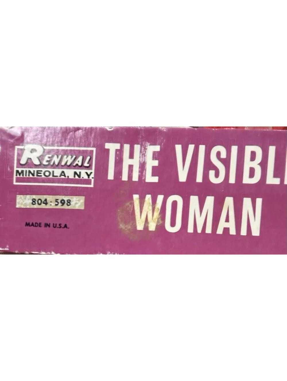 Vintage 1960 The Visible Woman Assembly Kit - #804 Made By Renwal New York USA